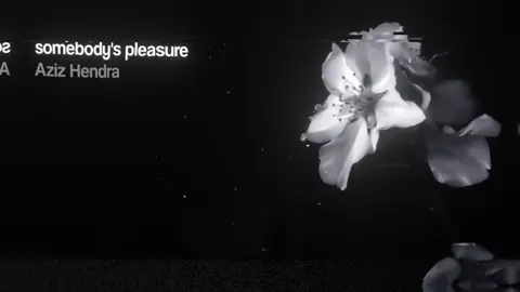 somebody's pleasure >>> #lyrics #musicvibes #foryouu 