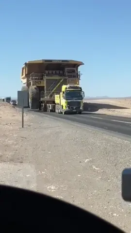 Ever Seen a Truck This Huge?#construction #heavymachinery #machinery #foryoupage #Knowledge