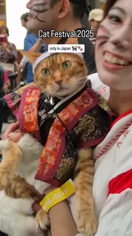 Coisas que só se vê no Japão  #viral #tiktok #fyp #japan #cat 