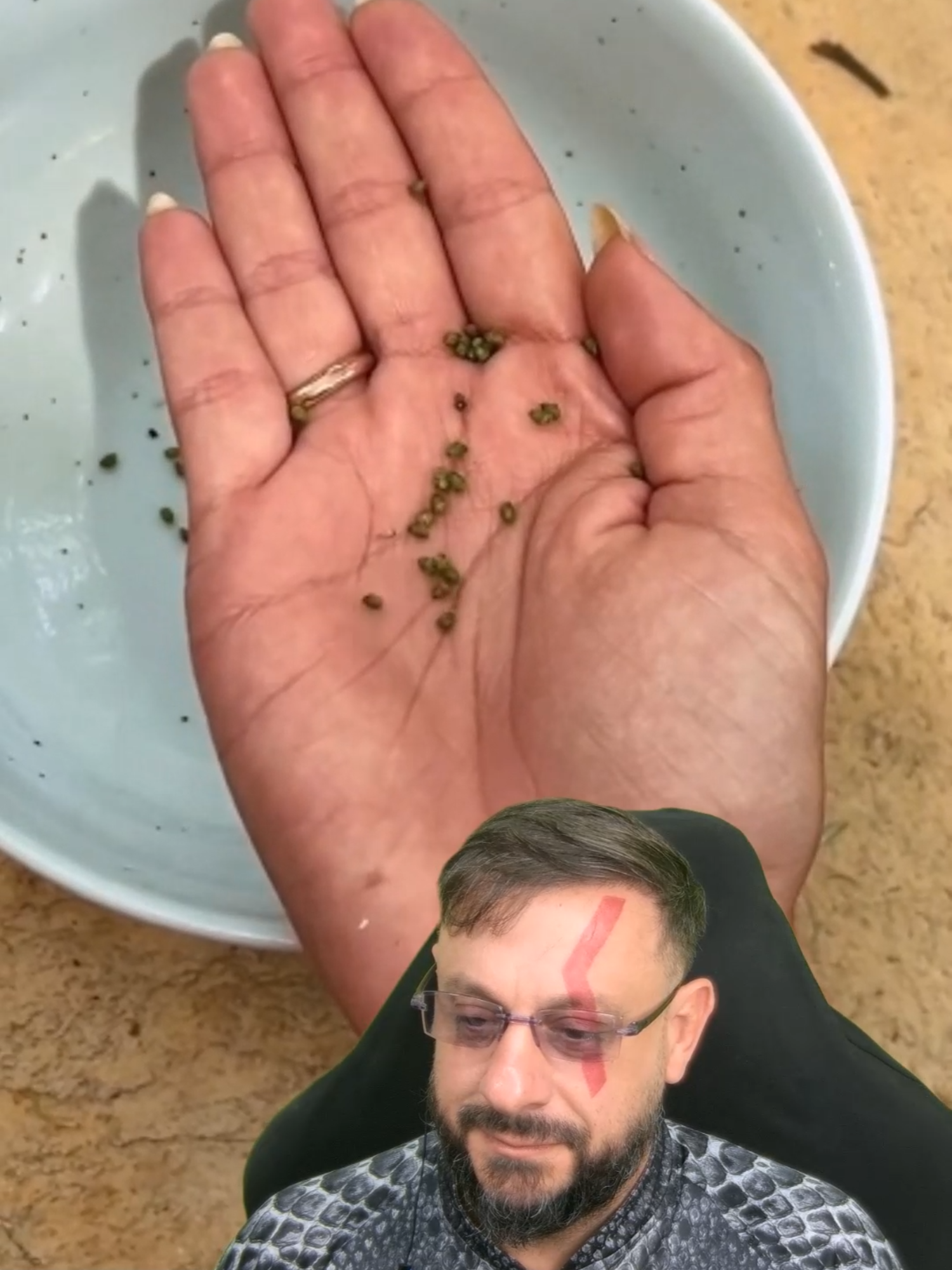 Sementes que pulam? #biologohenrique #animais #bichoesperto #biologo