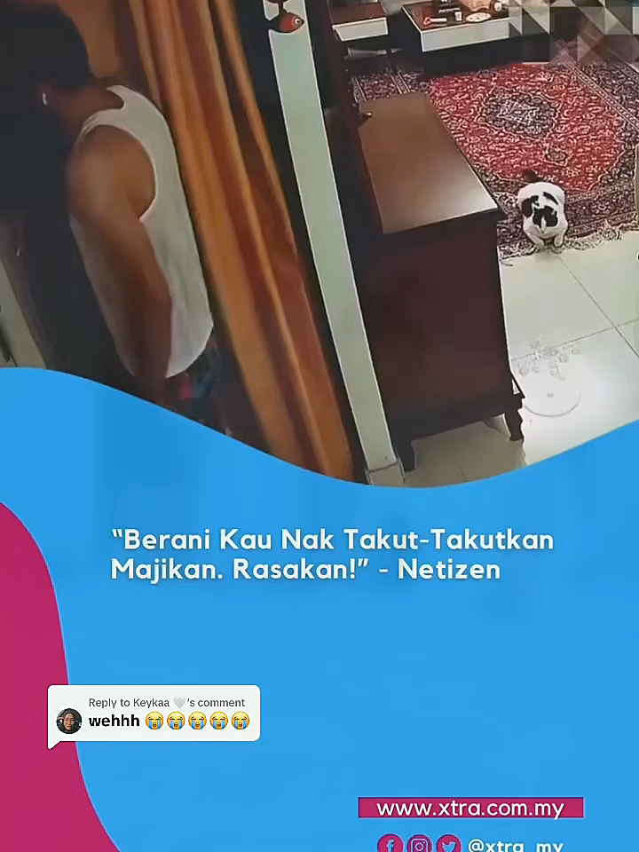 Replying to @Keykaa 🤍 Setepek je dia bagi 🤲🏻😭 #fyp #xtra #kucing #tampar #tuan #majikan #viral #beritaditiktok #sembangentertainment