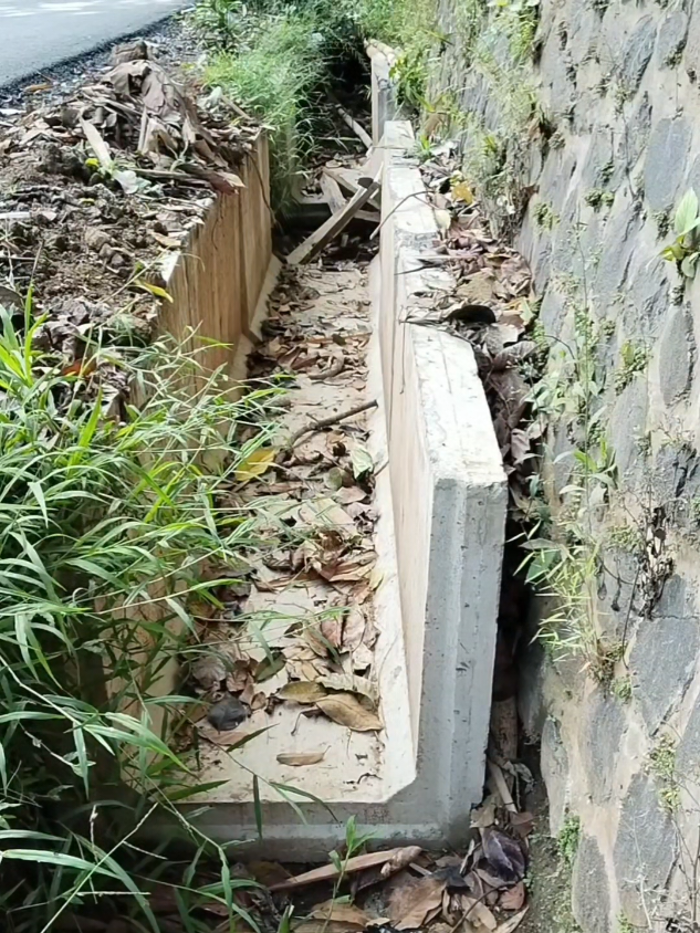 Pemborong Drainase Nakal Pengerjaan drainase proyek pemerintah provinsi Jawa Barat diduga banyak ditemukan tidak sesuai ketentuan, pemborong nakal tidak mencor lantai sebelum pemasangan uditch.  Gubernur Jabar Dedi Mulyadi sempat marah saat menemukan pengerjaan drainase asal-asalan itu, dia mengancam tidak akan membayar proyek yang tidak sesuai ketentuan.   #kdm #bapaaing #dedimulyadi #gubernurjabar #pemborongnakal