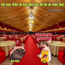 Bạn thân cưới, tôi cũng phải diện cho bảnh chứ! #meme #catmeme 