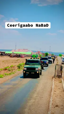 Wafti uu hogaaminayo TaLiYe baashe fanax Oo nabada ceerigaabo ka qayb Galaya #somalitiktok #fyp 