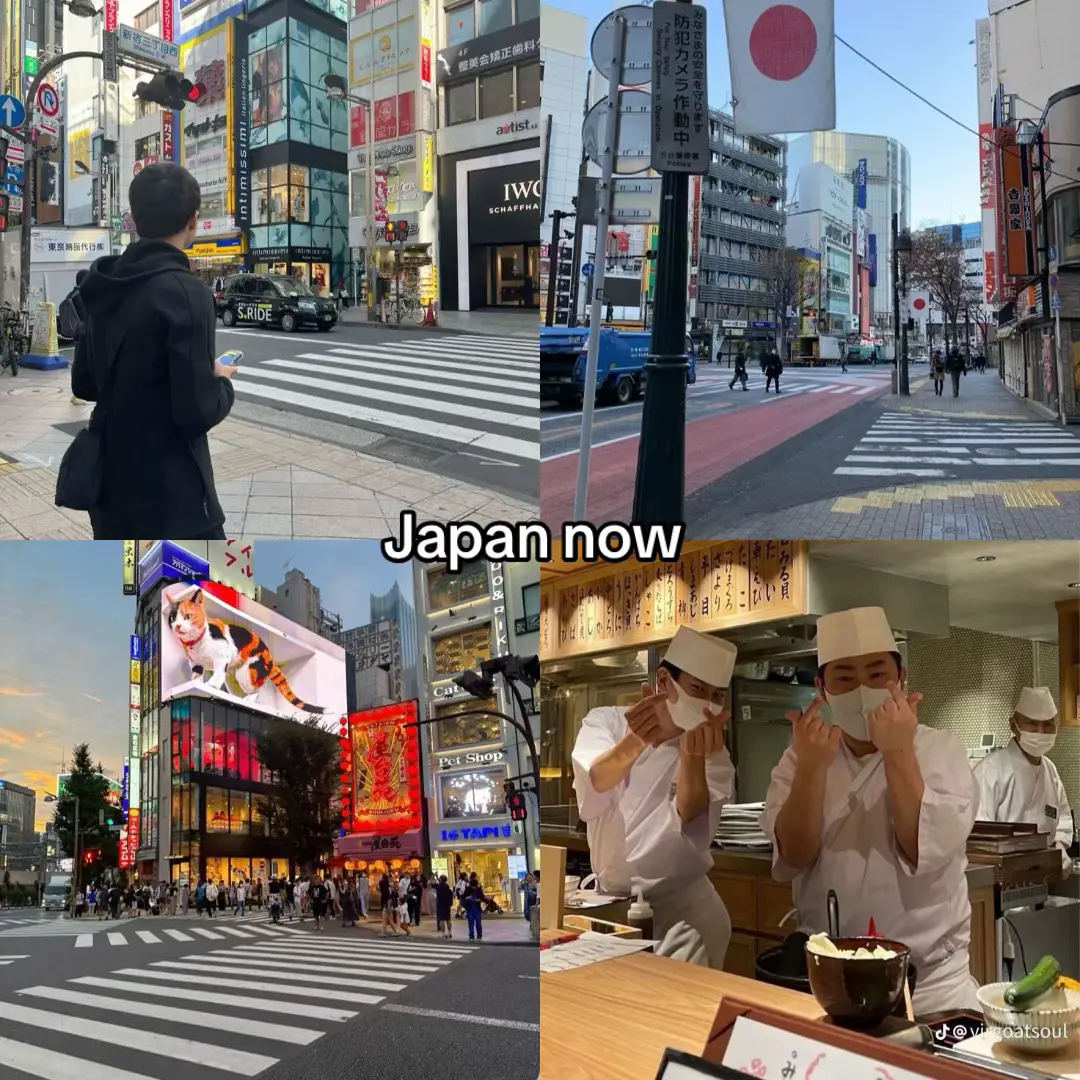 #japan #japanvibes #samurai #japanlife🇯🇵 #japanempire 