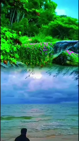 # CA KHÚC NHỎ ƠI  #xuhuong #xuhuong #vuicungtiktok #bienphuquoc #canhdepvietnam🇻🇳 