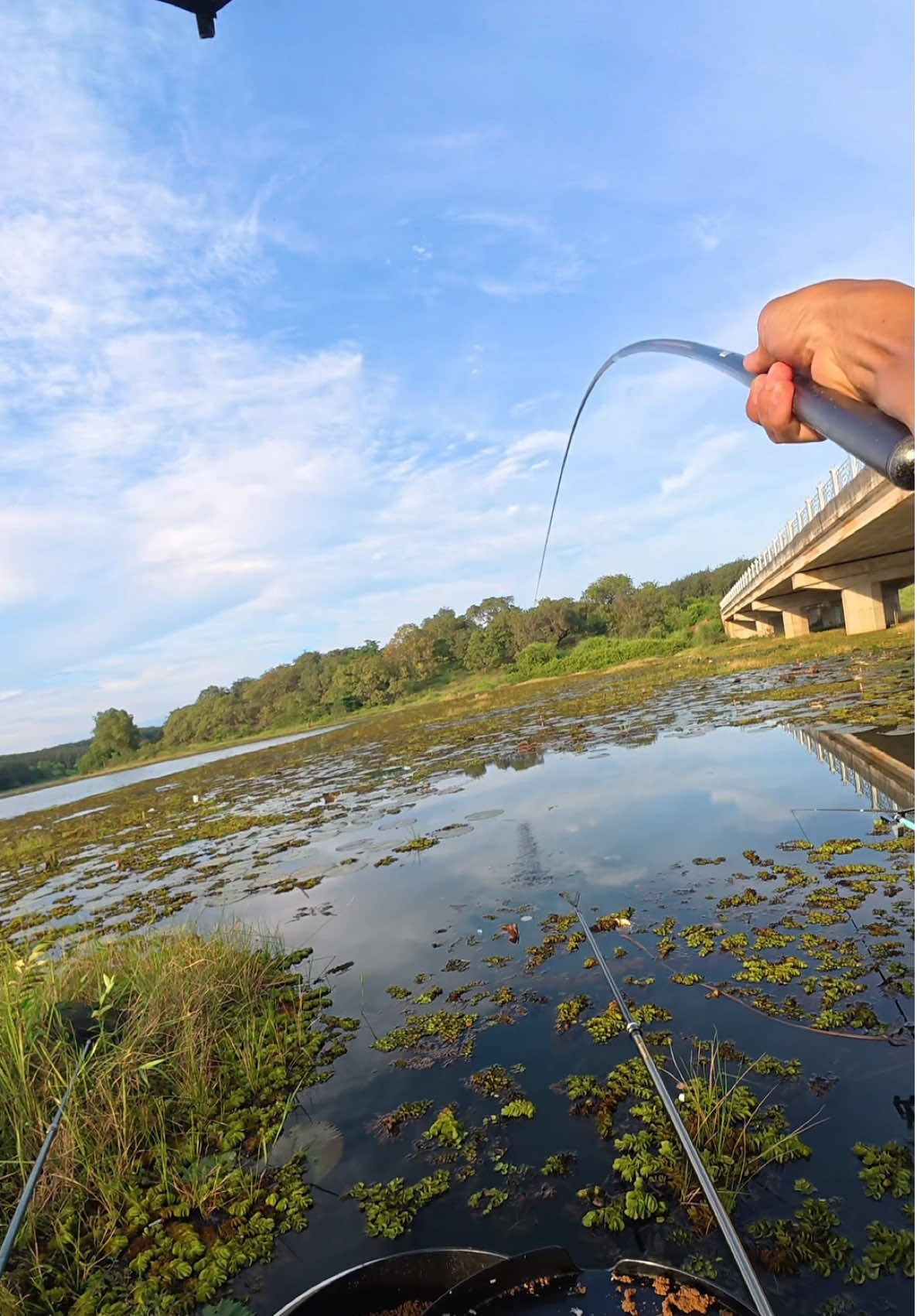 Một lần nữa lại thất bại 🥹#lenghiafishing #caucagiaitri #caucatunhien #cauca #fishing 