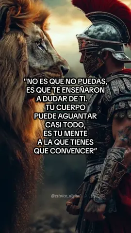 Ánimo guerrera@ tú si puedes🛡️⚔️ #parati #estoico #reflexion #viral #consejos 