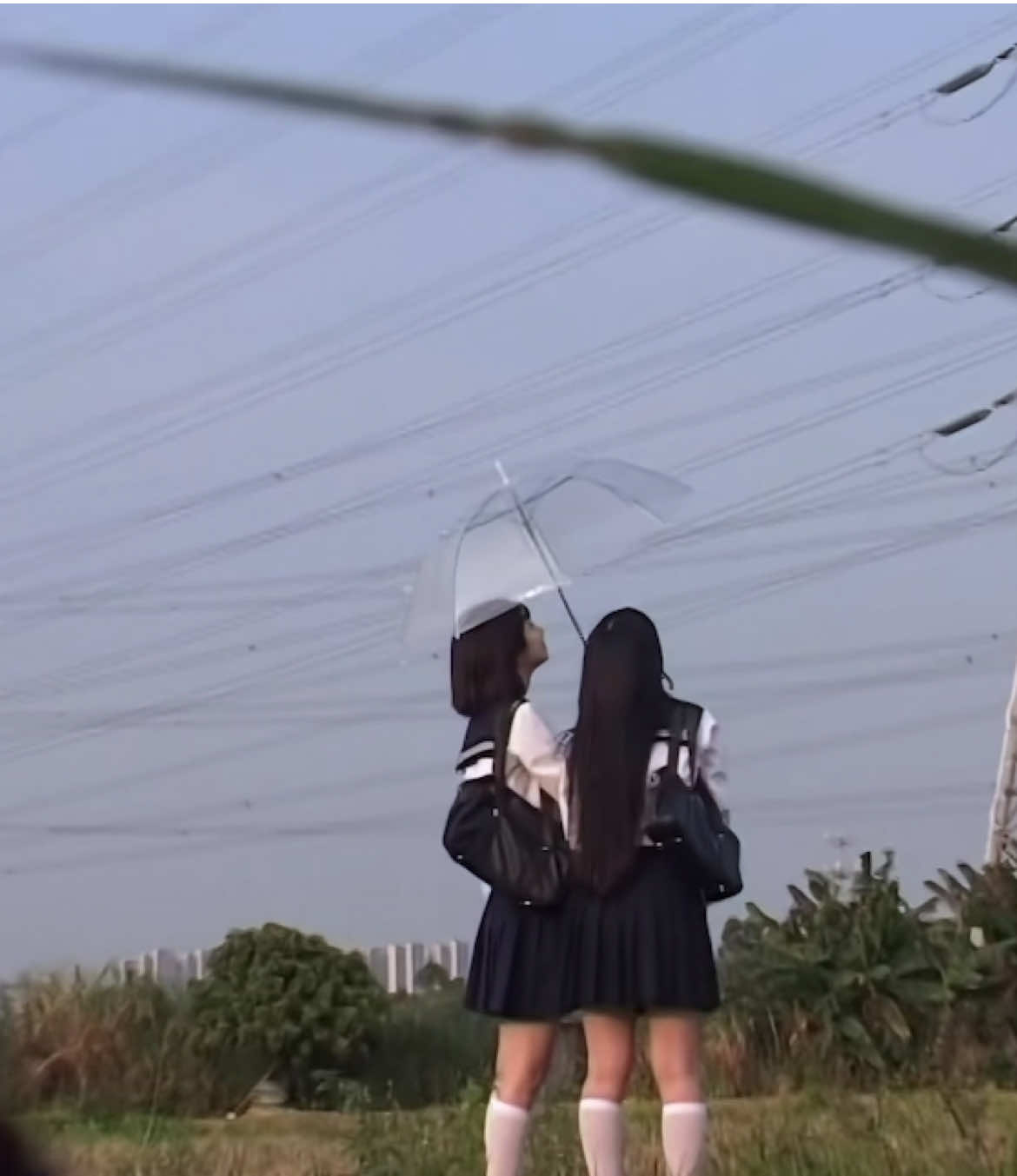 a trip to japan would heal me rn . | #小红书 #douyin抖音 #日本 #japan #fy 