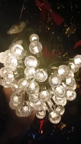 Solar Christmas Lights  #christmaslights #solar #fyp #foryoupage 