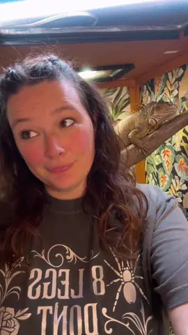 The more dinosaur the better 🦖 #reptile #reptilesoftiktok #greeniguana #iguanatok #reptiles 