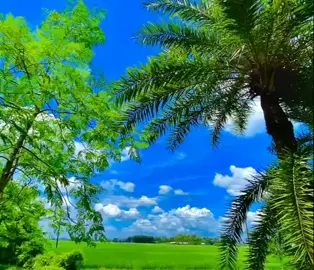 ❤️❤️❤️💔🫀