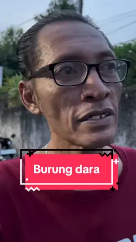 Maen burung dara  #anakbetawi #betawiasli #cerita #jamandulu #betawipunyecerite 