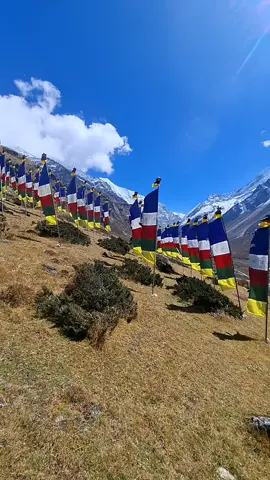 @Jeevan Lama 