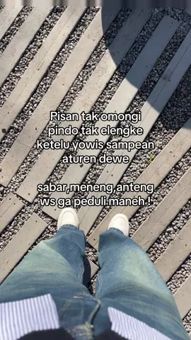 Stecu #foryou 