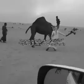 لطامه 🤎.  #لطامه #الصفر #ابن_دغيثر #لطامات #عتيبه #بدون_موسيقى #اكسبلورexplore #explore #الصياهد #لايك 