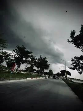 Ta là người dưng 