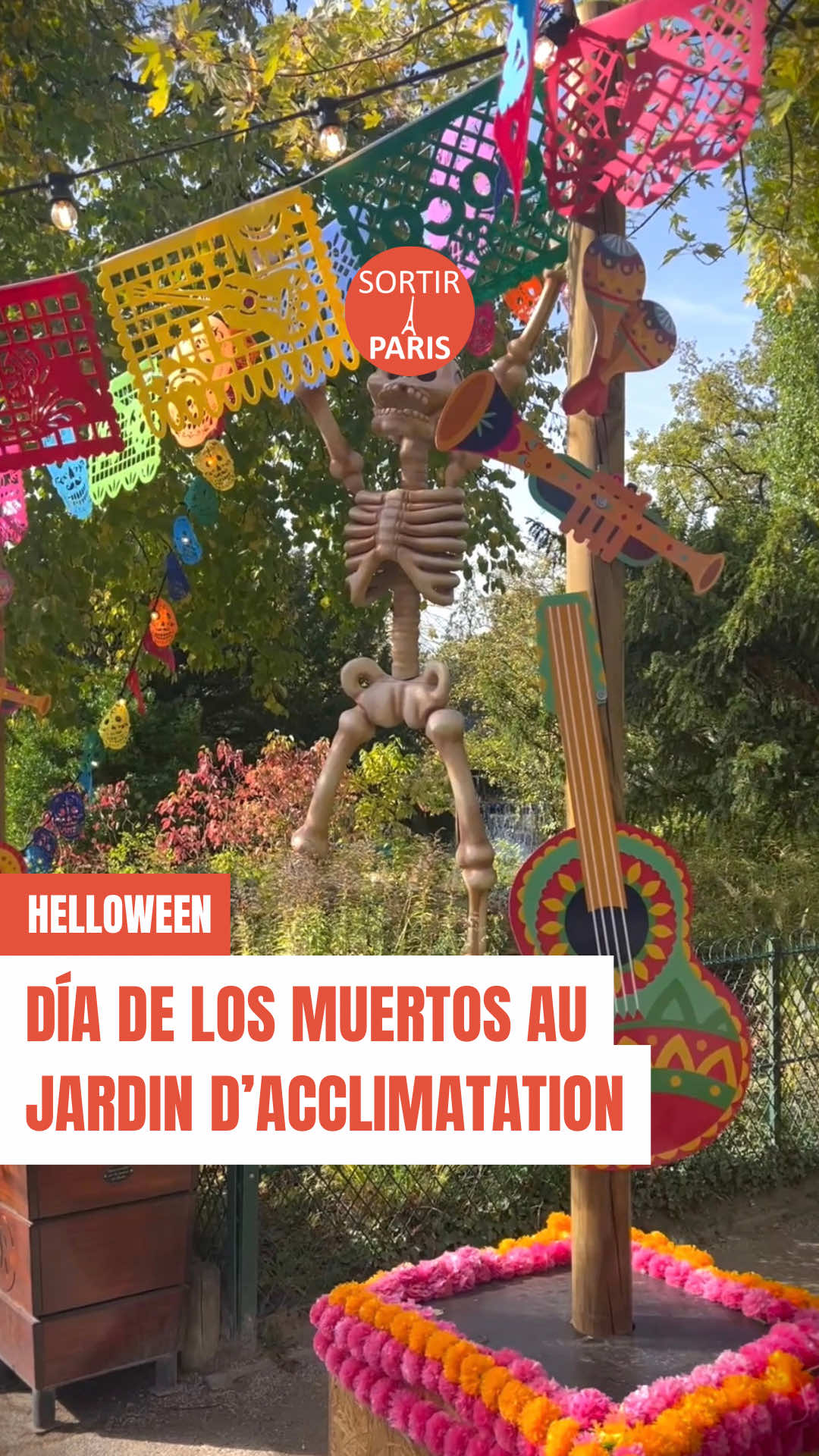 Dia de los Muertos s’invite au Jardin d’Acclimatation ! Le célèbre parc parisien se métamorphose pour célébrer la tradition mexicaine du Jour des Morts, une fête haute en couleur où la joie l’emporte sur la tristesse. Le temps d’un événement unique, le Jardin se pare de crânes fleuris et de guirlandes colorées.  Les visiteurs sont invités à plonger dans une ambiance chaleureuse et familiale, rythmée par la musique enjouée des mariachis, les performances de danseurs costumés et les animations pensées pour les enfants. Les plus jeunes peuvent ainsi s’émerveiller devant les squelettes rieurs, les personnages inspirés du folklore mexicain et les ateliers ludiques qui leur permettent de découvrir les symboles de cette fête traditionnelle. Toutes les zones du parc ne sont pas décorées, mais celles qui le sont valent largement le détour : décors lumineux, têtes de mort peintes à la main et installations fleuries composent un véritable voyage visuel et sensoriel au cœur du Mexique. Et pour prolonger l’expérience, plusieurs stands gourmands invitent à goûter aux saveurs typiques du Mexique, entre douceurs sucrées et spécialités épicées, dans une atmosphère conviviale et festive. 🟠 Lieu : Jardin d’Acclimatation, Route de la Porte Dauphine, 75116.. 🟠 Dates : Jusqu’au 2 novembre 2025. 🟠 Prix : Enfant de -80cm, gratuit / Tarif réduit, 5€ / Plein tarif, 7€. Plus d’infos : sur le site Sortiraparis (lien en bio). #sortiraparis #paris #halloween #diadelosmuertos #halloweenparis 