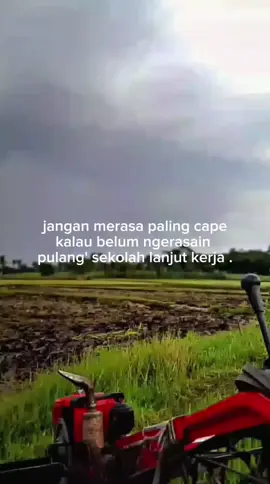 #petaniindonesia🇮🇩🇮🇩🇮🇩🌿🌿