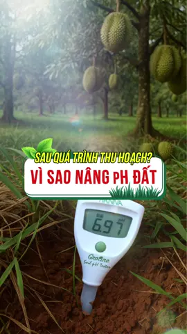 Độ pH quan trọng thế nào sau thu hoạch #phvietnam #emgaiphan #caytrong #phđất 