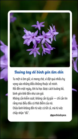 Buông tay để bình yên tìm đến #tamtrang #chualanh #foryou #binhyen #xuhuong #hanhphuc 