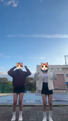 #fyp 