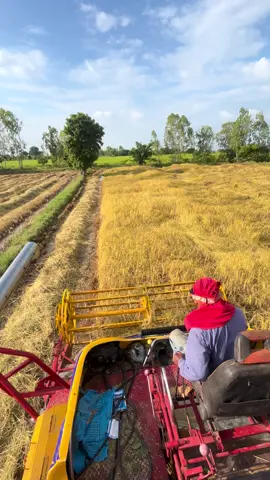 #โชคอินทร์มณี #จ้าวช้างไวไฟ #เทรนวันนี้ #fypシ゚ #ฟีดดดシ 