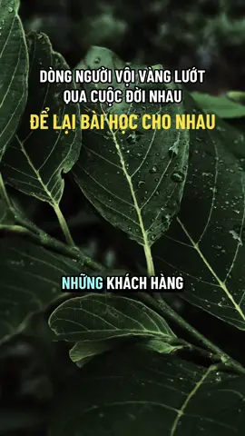 Cả cuộc đời ta gặp bao nhiều người #ngộ_để_an #phatphapnhiemmau #cliptrieuview #xuhuongtiktok #trending 