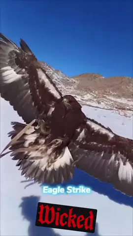 #amazing #animals 