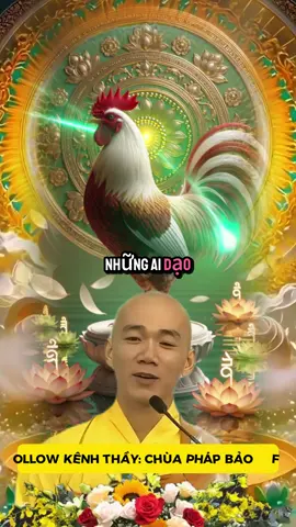 Tuổi Dậu nên lưu ý #tuoidau #phongthuy #congiapmayman #tailocmayman #vongtayphongthuy 