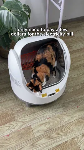 2025 Smart Litter Box Test! Cat owners are completely hands-free, and the cat's toilet experience is off the charts #SmartLitterBox #CatOwnerEssential #CatSupplies #hitechpetcare 