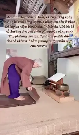 🙏 NAM MÔ A DI ĐÀ PHẬT! XIN THƯỜNG NIỆM!