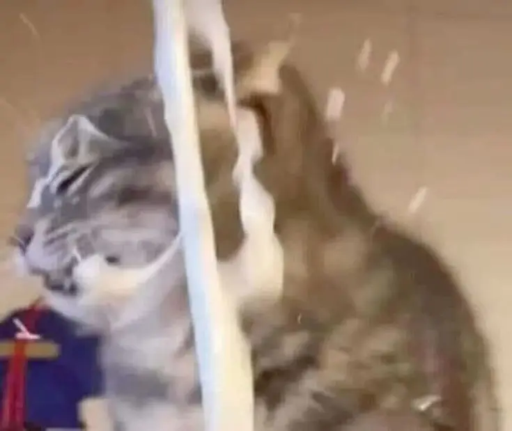 làm tao tự ái đâu khó💔 #lienquan #aov #lienquanmobile 