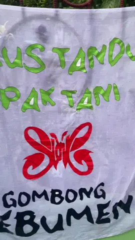 Bemdera Slankers/y , Tour kota pertama Di 