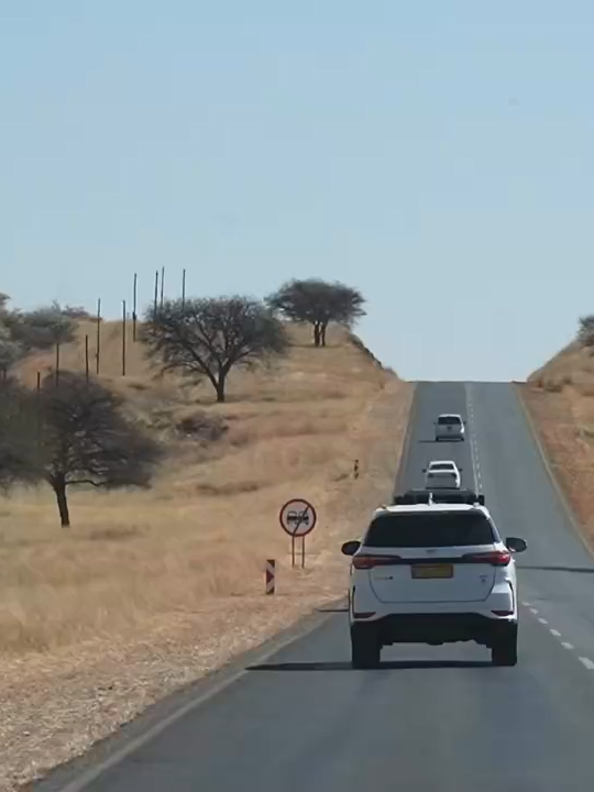 Chinese Wisdom on Ecological Conservation Shared with South Africans