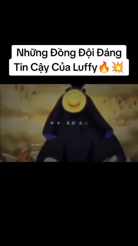Luffy luôn luôn tin tưởng tuyệt đối vào đồng đội của mình #onepiece #luffy #wanoarc 