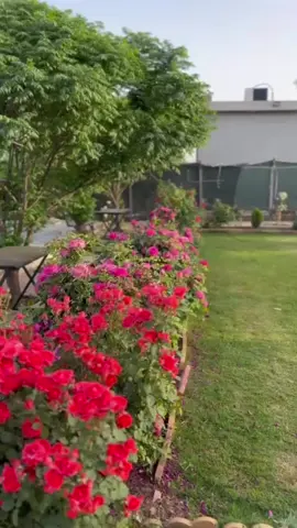 #موصل #شعب_الصيني_ماله_حل😂😂 #نينوى_الموصل_اربيل_بغداد_النجف #هولير_دهوك_سيميل_زاخو_سليماني_ #شلالات_الموصل 