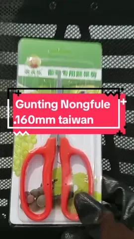 gunting pruning bonsai Nongfule 160 mm stainless taiwan  #guntingnongfule  #guntingnongfuletaiwan  #guntingpruningbonsai  #peralatanbonsai  #capcut  #trans7 #indonesia #fyp #viral 