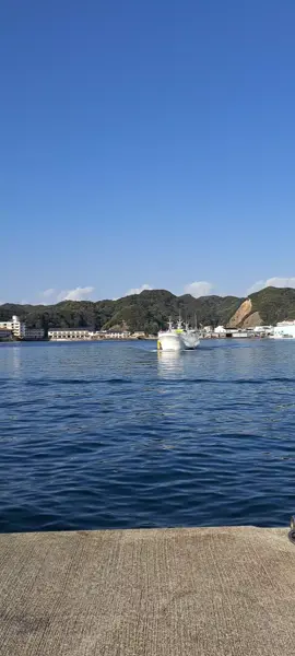 #マグロ #船 #japan #indonesia #maruship🎌 