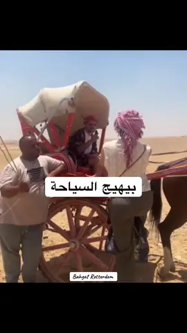 الله على جمال المصريين ❤️ #السياحة #الاهرامات #meme #fyp #explore 