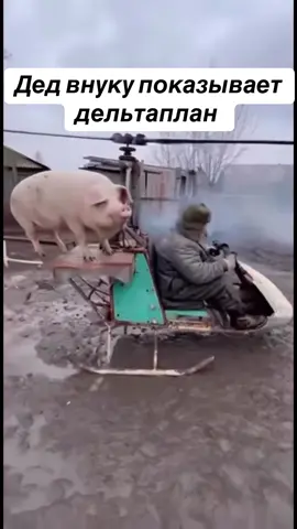 Машка в рассеянности)