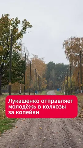 Лукашенко зовёт молодёжь в колхозы за копейки  #беларусь #лукашенко #молодежь #село #работа #колхоз #новости #труд #экономика