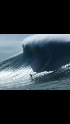 the end of humanity #brutal #sinister #kaliyuga #surfthekaliyuga #ai 