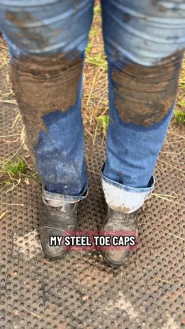 Every job has a downside 🫣 #fyp #foryoupage #foryou #equinehygieniest #sheathcleaning 