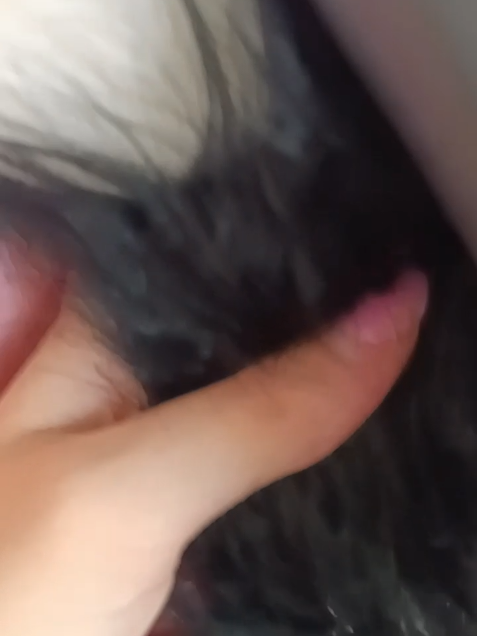 cute tail :3 #lff #cute #paws #furry #astolfo #skirt #pink #cutiepie #femboy 