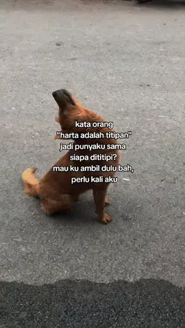 punyaku dititipin sama siapa ya 🤔😔#memes #katakata #galaubrutal #masukberanda #fyp 