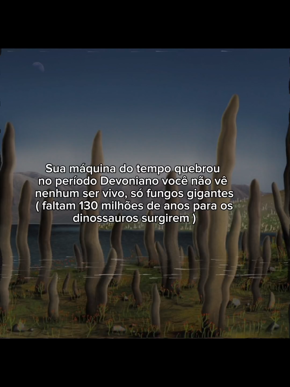 #maquinadotempo #devoniano 