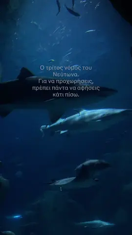 Καντο για εσένα #greece #fy #fyp #quote #foryourpage 