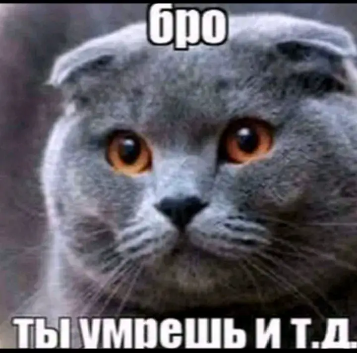 **Мем «Бро, ты умрёшь и т.д.»** представляет собой классическую картинку с котом и подписью, которая используется для ироничного напоминания о неизбежности определённых событий. **Суть мема** заключается в прямом выражении мысли, усиленном фразой «и т.д.». Изначально мем использовался как шутливое предостережение или напоминание о том, что все люди смертны. **Происхождение** мема связано с фотографией кота, который выглядит безразличным и даже немного угрожающим. На изображение накладывается текст, где в начале всегда стоит обращение «бро», а в конце — неизменное «и т.д.». **Варианты использования** мема очень разнообразны. От классического «бро, ты умрёшь и т.д.» появились такие модификации, как: * «бро, ты воскреснешь и т.д.»; * «бро, ты выживешь и т.д.»; * «бро, я тебя люблю и т.д.». **Создание мема** довольно простое: берётся исходное изображение (или подходящее по теме) и добавляется текст шрифтом Impact. Главное правило — сохранение структуры: обращение «бро» в начале и «и т.д.» в конце. Мем стал популярным благодаря своей универсальности и возможности применения в различных контекстах — от мрачных предупреждений до милых пожеланий.