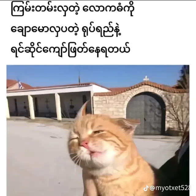 #fyyyyyyyyyyyyyyyyyyy #fyp #😛😛 #❤️🥰 